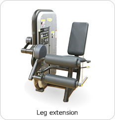 Leg extension 