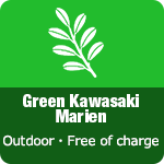 Green Kawasaki Marien 