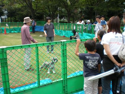 犬のしつけ教室