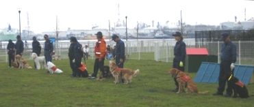 災害救助犬デモンストレーション