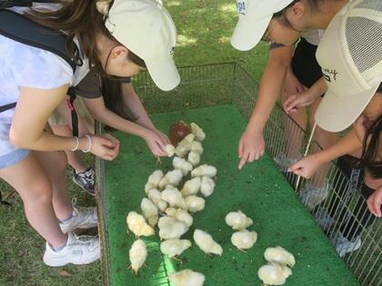 写真/ふれあい動物園