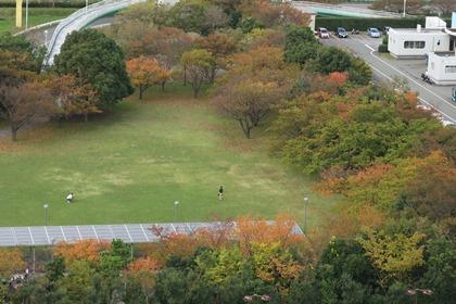 写真：中公園の紅葉