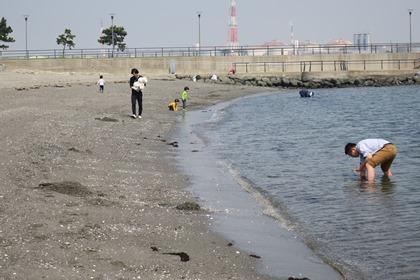 写真：かわさきの浜で潮干狩り