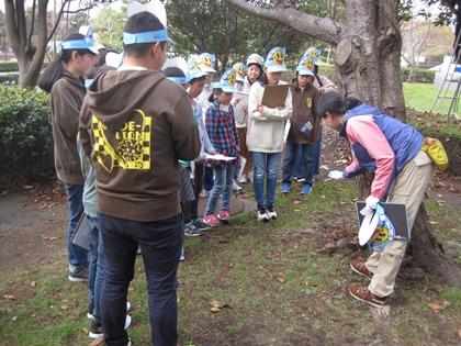 写真:樹木医によるチェック