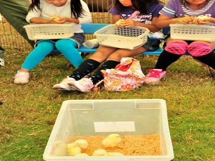 写真/ふれあい動物園事前広報１