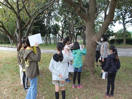 野鳥樹木観察2020