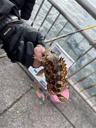 写真/協会釣り教室②