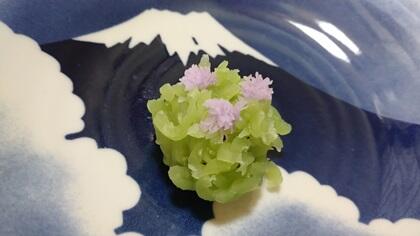 写真/茶道2024の1回目5