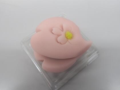 写真/茶道２０２４の１９回目②