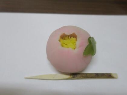 写真/茶道無料体験2025③
