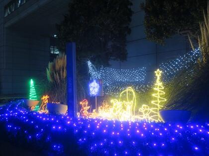 写真/クリスマスイルミネーション2025