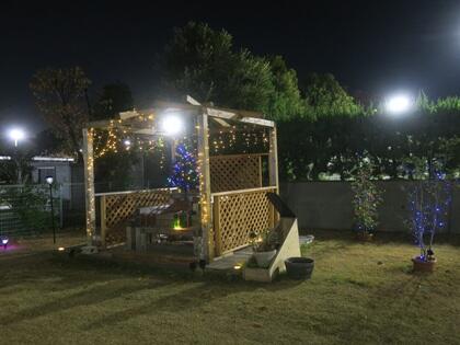 写真/Ｒ７イルミ④