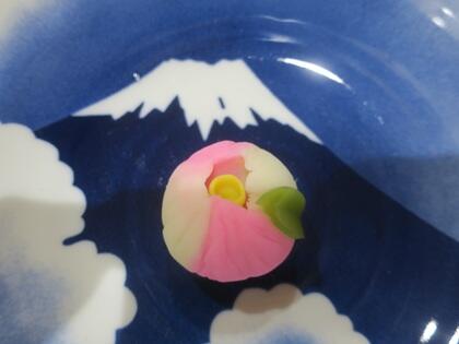 写真/2025茶道17回目③