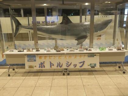 写真/ボトルシップ生徒作品展①