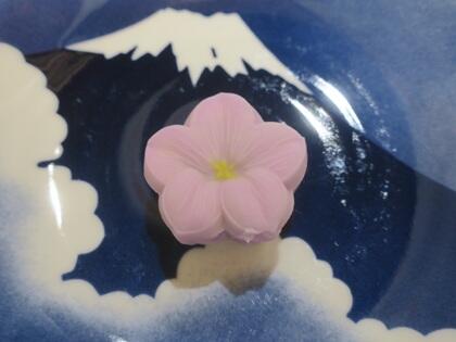 写真/本日のお菓子「鉄線」2026