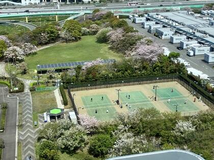 4月14日のマリエンテニスコートと中公園.jpg