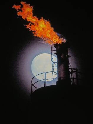 写真/第１５回写真の部金賞　渡辺直樹