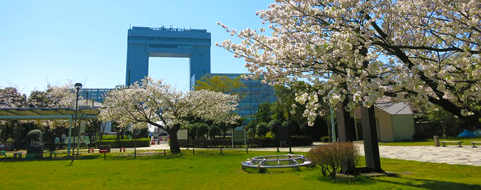 Naka Koen: Enjoy cherry blossoms in spring. Next to the park is a barbecue area. 