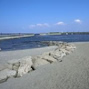 東扇島東公園の写真